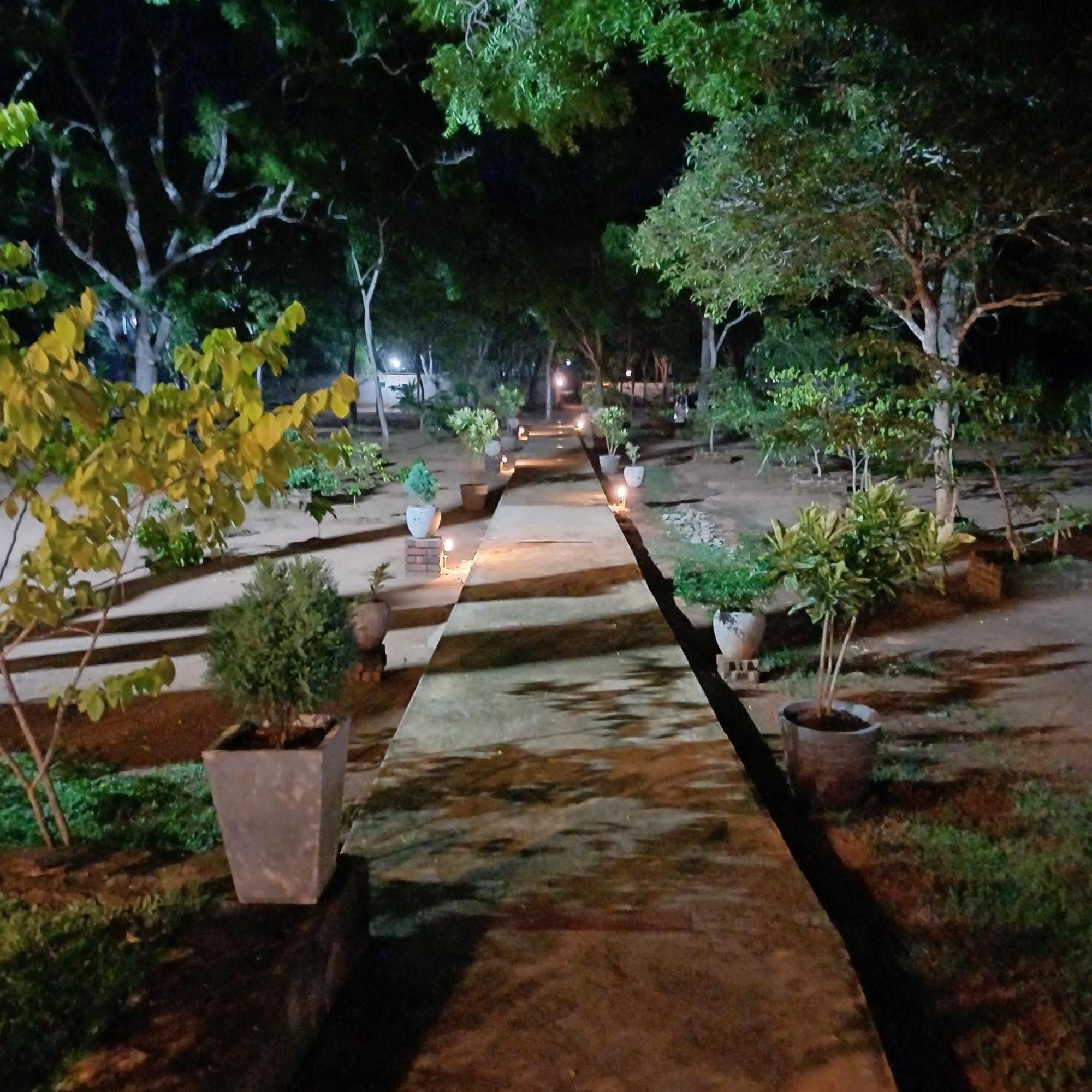 Forest Edge Villa Anuradhapura Zewnętrze zdjęcie